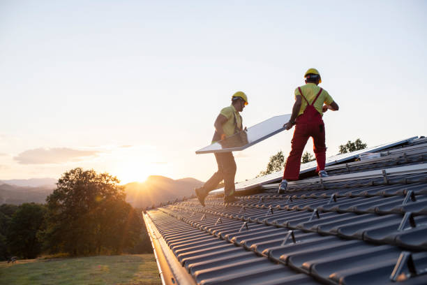 Best Roof Moss and Algae Removal  in Rolling Hills Estates, CA